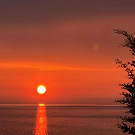 Bluemoon Sarandë