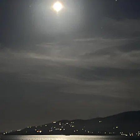 Apartment Bluemoon